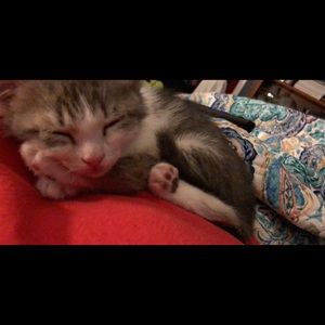 Meet your Posher, Leigh